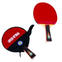 paleta-ping-pong-in-husa
